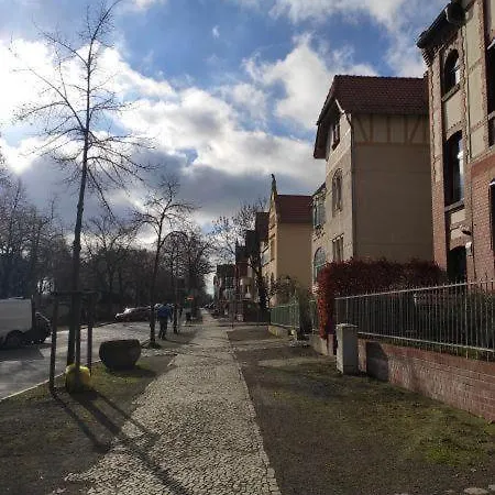 Baglings-blick *