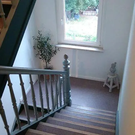 Baglings-blick